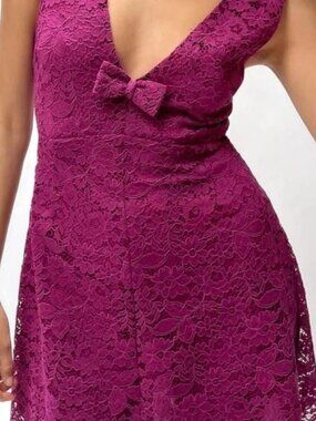 NWT Zara Lace Pinafore Mini Dress - Fuischia / Magenta / Pink Size Small